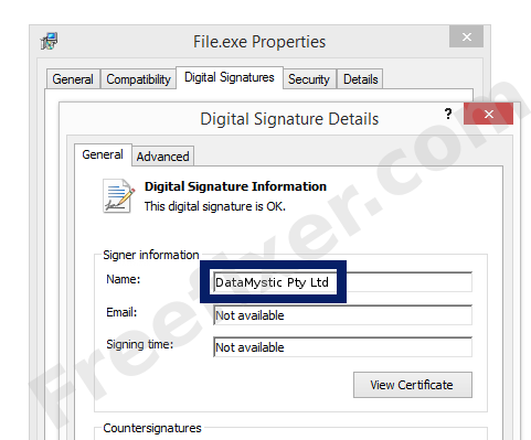 Screenshot of the DataMystic Pty Ltd certificate